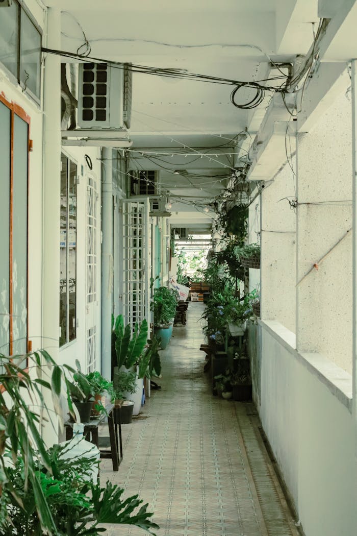 Peaceful corridor lined with diverse plants creating a serene ambiance indoors.
